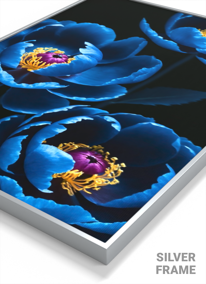 Blue Peonies 1
