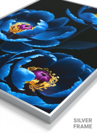 Blue Peonies 1