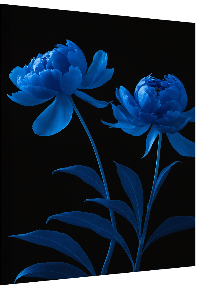 Blue Peonies 2