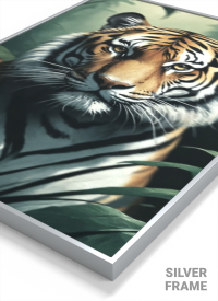 Gaze of the Wild