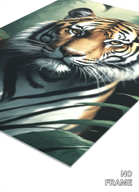 Gaze of the Wild