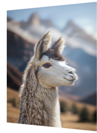 Chill Llama