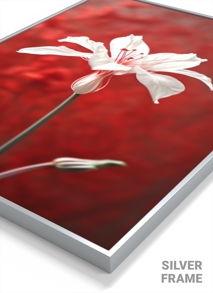 Petals of Serenity