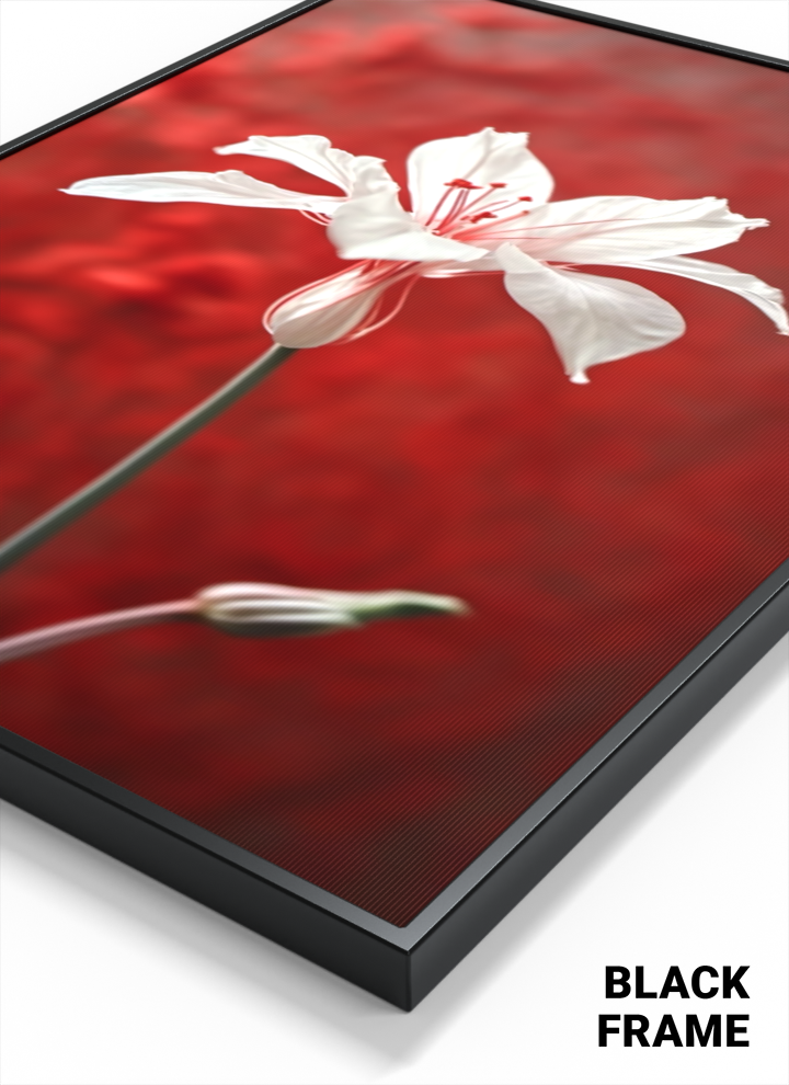 Petals of Serenity