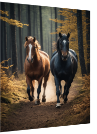 Lenticular 3D Poster – Fantasy Horses | Magnetic Mount